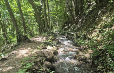 🏞️ Bisse de Grimisuat