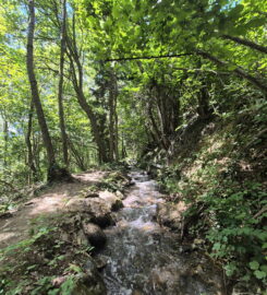 🏞️ Bisse de Grimisuat