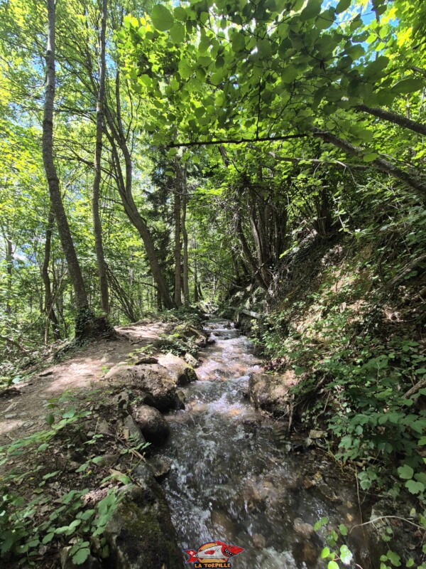 Le chemin entre le deuxième et le troisième croisement avec la route de Cudre. Bisse de Grimisuat