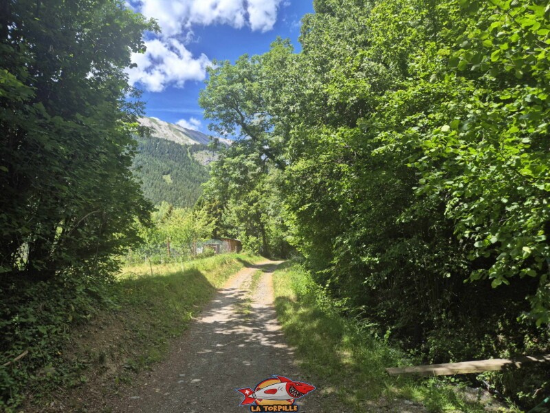 Le chemin entre la route de Cudre et la route de Larzally. Bisse de Grimisuat