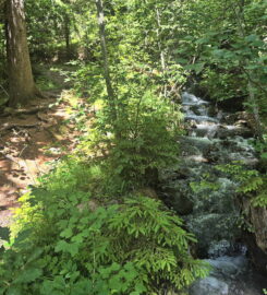 🏞️ Bisse de Grimisuat