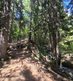🏞️ Bisse de Grimisuat
