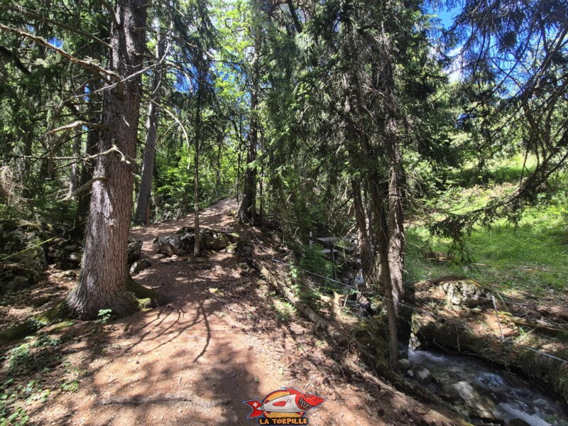 Le chemin entre la route de Cudre et la route de Larzally. Bisse de Grimisuat