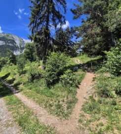 🏞️ Bisse de Grimisuat