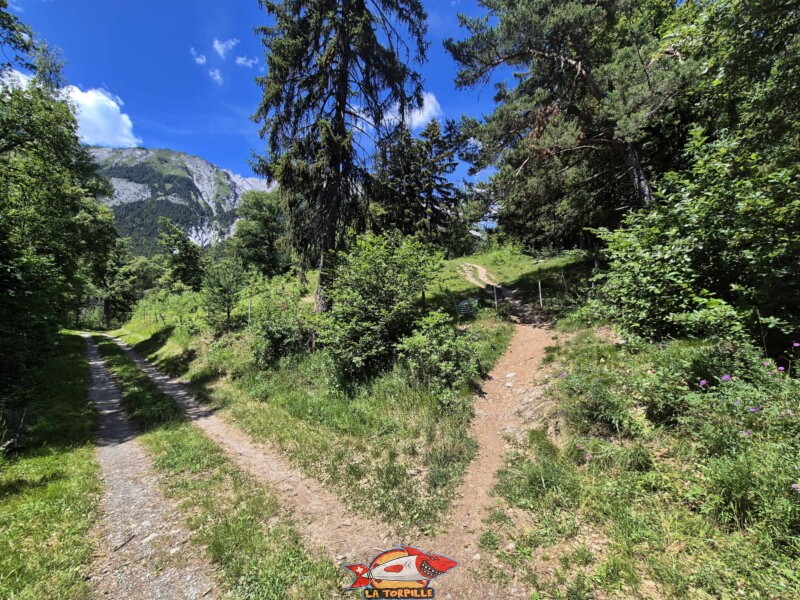 Le chemin entre la route de Larzally et la route de Combasta. Bisse de Grimisuat