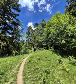 🏞️ Bisse de Grimisuat