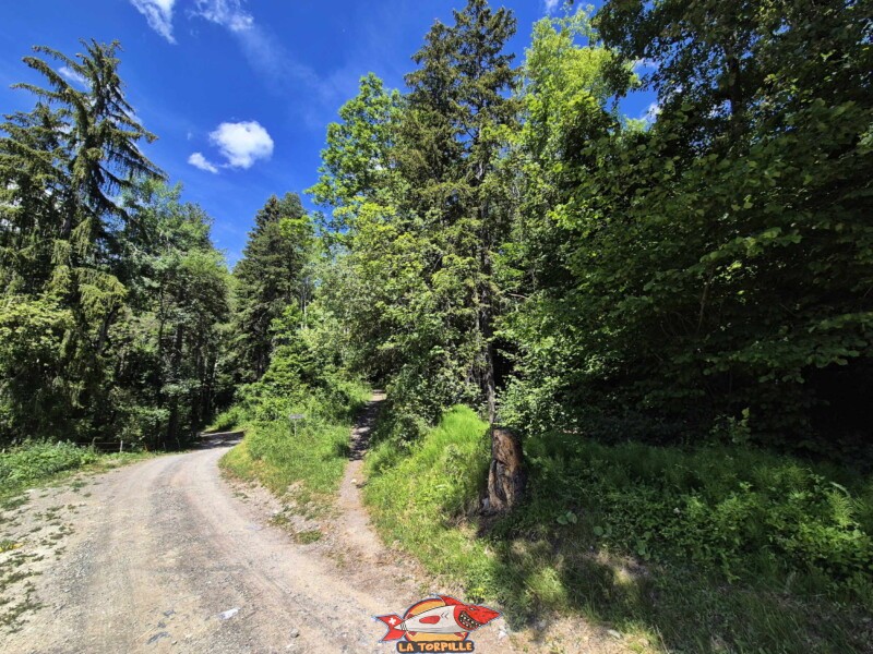 Route de Combasta. Bisse de Grimisuat