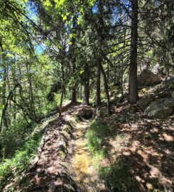 🏞️ Bisse de Grimisuat