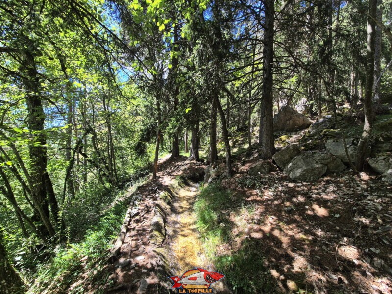 Route de Combasta. Bisse de Grimisuat