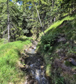 🏞️ Bisse de Grimisuat