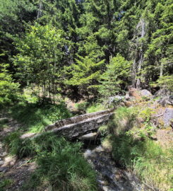 🏞️ Bisse de Grimisuat