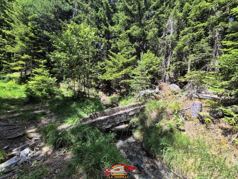 Le petit pont en pierre qui transporte les eaux de la partie terminale du fameux bisse de Sion juste avant qu'il ne se jette dans la Sionne. Le chemin le long du bisse, du bisse de Sion jusqu'à la prise d'eau. Bisse de Grimisuat