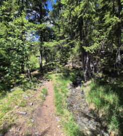 🏞️ Bisse de Grimisuat