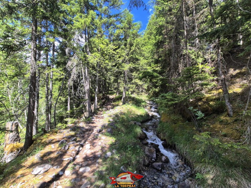 Le Bisse de Grimisuat