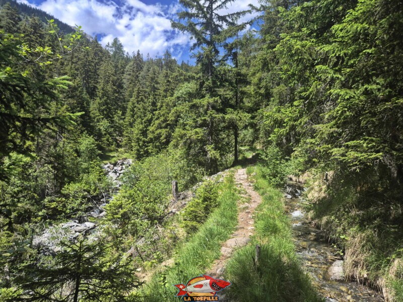 Le chemin le long du bisse, du bisse de Sion jusqu'à la prise d'eau. Bisse de Grimisuat