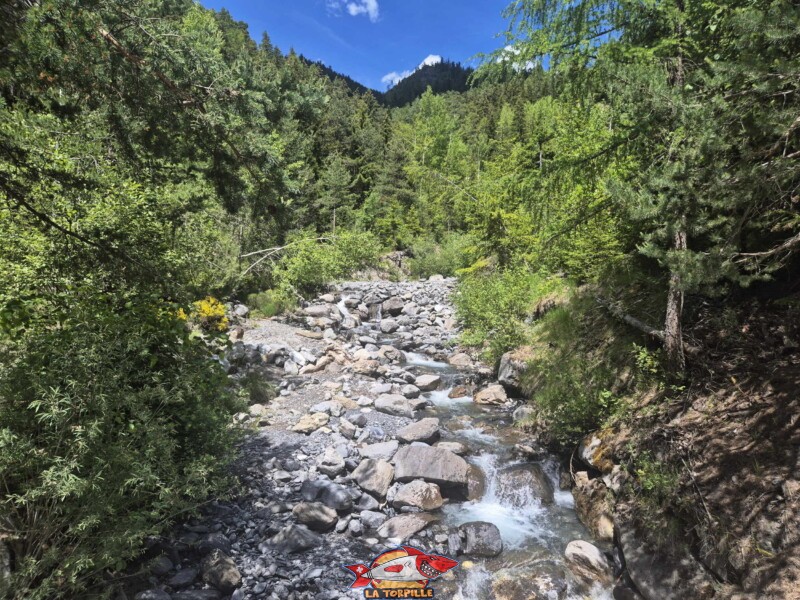 La prise d'eau sur la Sionne à 1214 mètres d'altitude. La vue direction amont depuis le pont de la prise d'eau. Bisse de Grimisuat