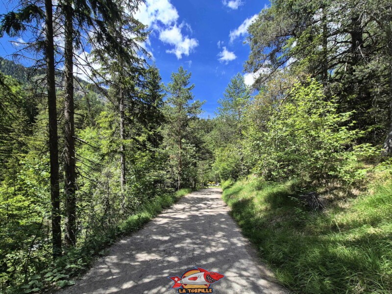 La rue Planège qui permet de rejoindre la prise d'eau du bisse de Grimisuat depuis le village d'Arbaz.