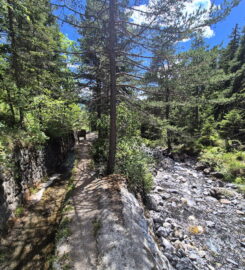 🏞️ Bisse de Grimisuat