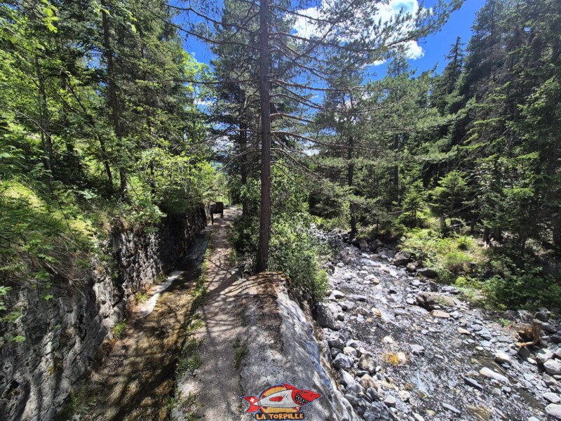 Depuis la prise d'eau, le retour au parking ou à l'arrêt de bus se fait par le même chemin qu'à l'aller. Bisse de Grimisuat