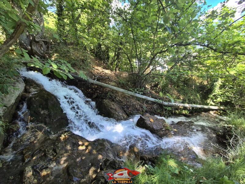 Le chemin entre le premier et le deuxième croisement avec la route de Cudre. Bisse de Grimisuat