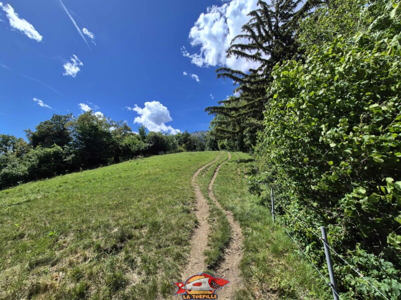 Le chemin de la route de Comolire jusqu'à la route de la Coudre. Bisse de Grimisuat