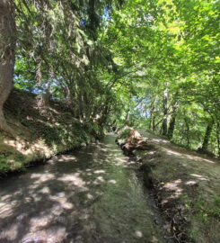 🏞️ Bisse de Grimisuat