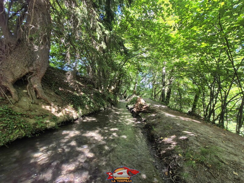 Depuis la prise d'eau, le retour au parking ou à l'arrêt de bus se fait par le même chemin qu'à l'aller. Bisse de Grimisuat