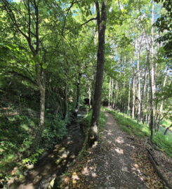 🏞️ Bisse de Grimisuat