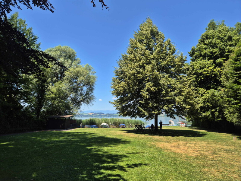 Le parc de Meyriez.