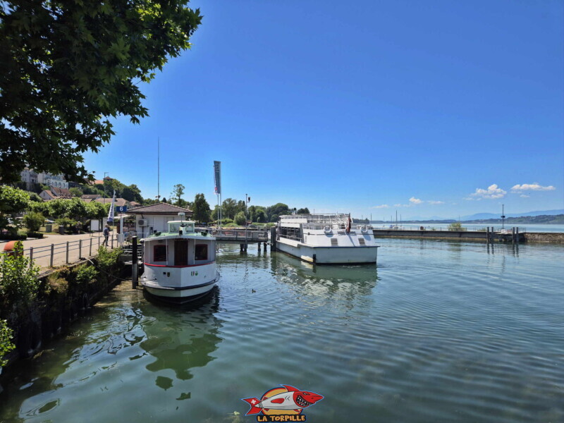 Depuis rivage. Débarcadère de Morat . LNM.