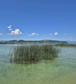 🏖️ Plage du Petit Port – Morat