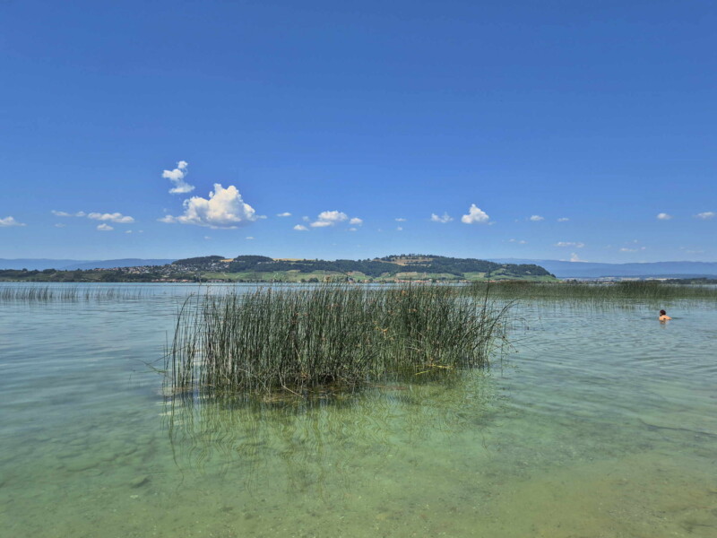La plage du petit port de Morat. Le Mont Vully.