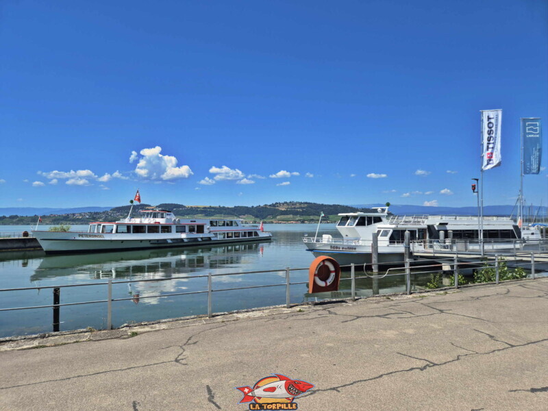 Depuis rivage. Débarcadère de Morat . LNM.