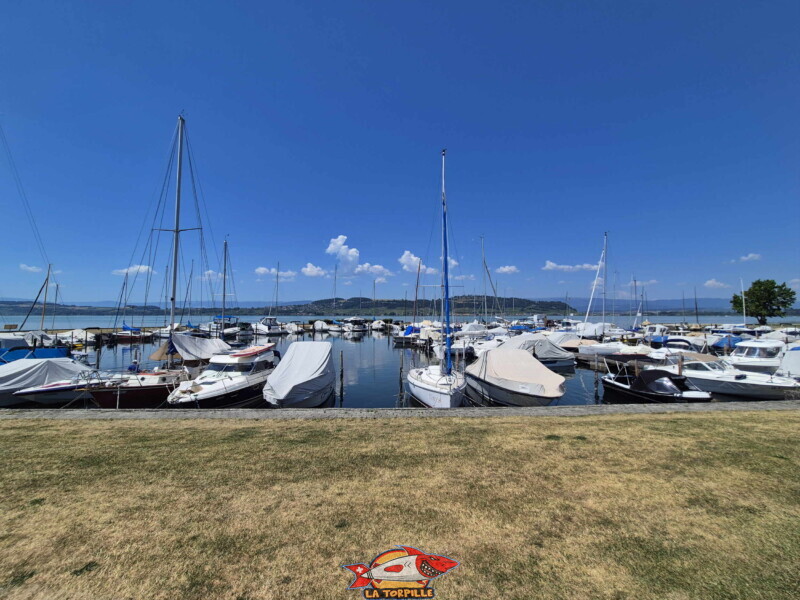 Le port de Morat.