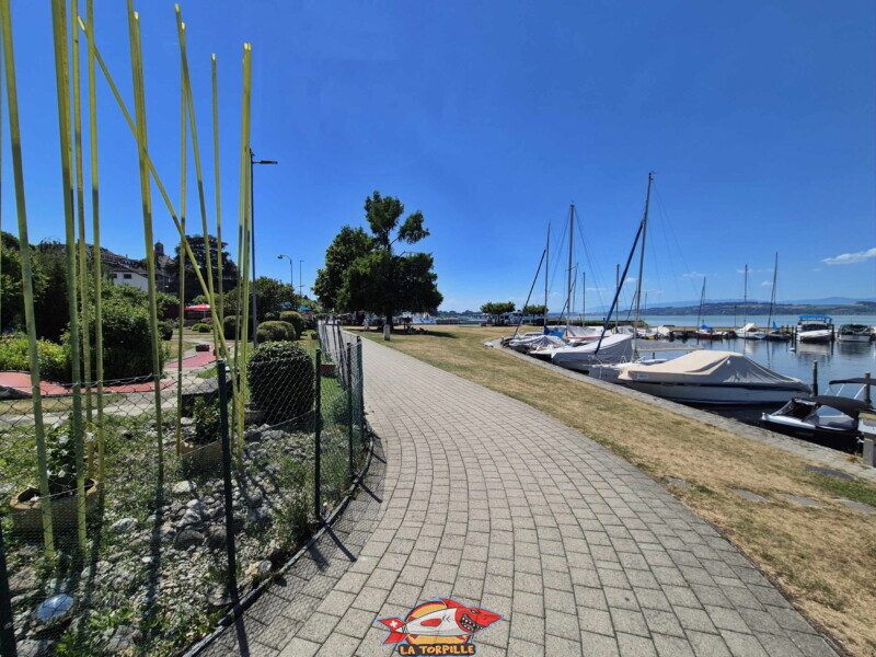 Le chemin entre le port de Morat et le minigolf.