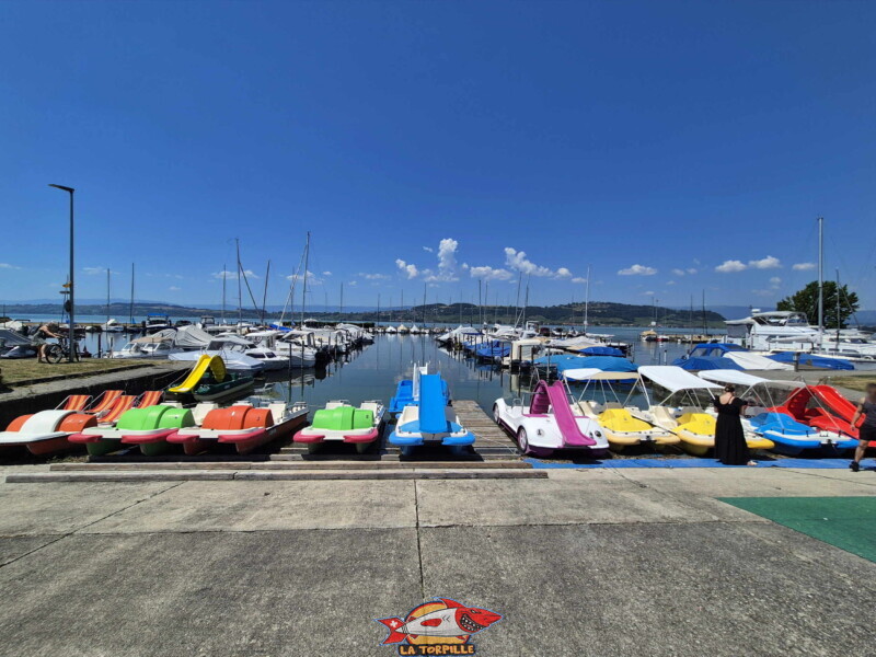 Le port de Morat avec un loueur de pédalos. Le port de Morat avec un loueur de pédalos.
