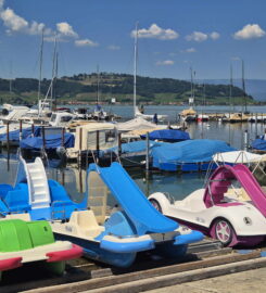🌊 École de Voile du Lac de Morat