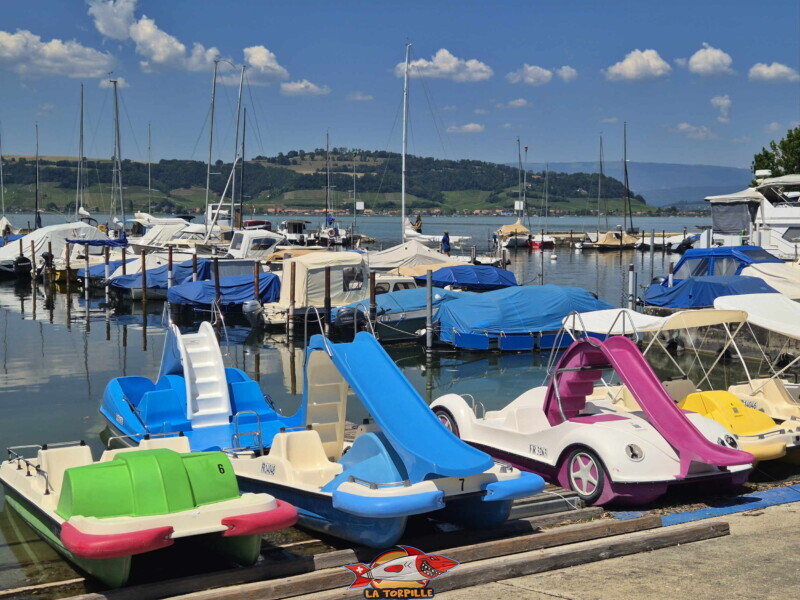 Les pédalos à la location en libre-service dans le grand port de Morat.