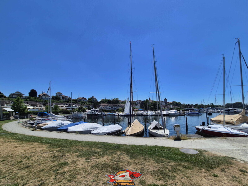Le grand port de Morat depuis le côté de la réception de l'école de voile. Le grand port de Morat depuis le côté de la réception de l'école de voile.