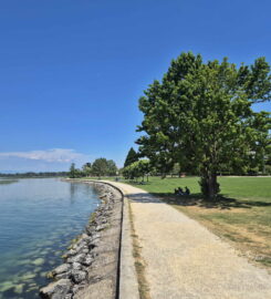 🏖️ Plage de la Place de Loisirs Pantschau – Morat