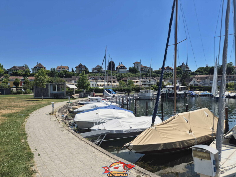 Le box de réception de l'école de voile accolé au grand port de Morat. Le box de réception de l'école de voile accolé au grand port de Morat.