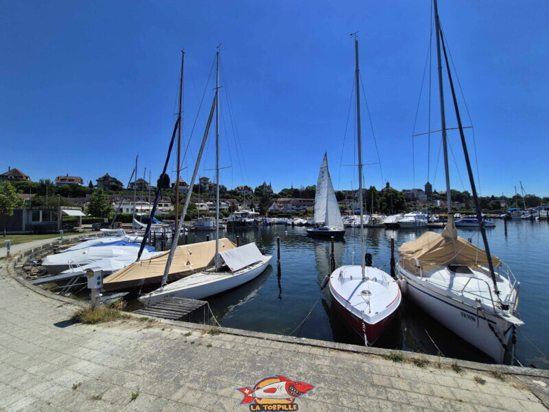Le grand port de Morat. Freizeitwiese Pantschau beim Hafen in Murten - Place de Loisirs Pantschau
