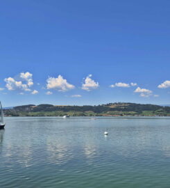 🌊 École de Voile du Lac de Morat