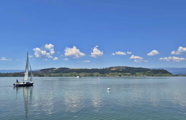 🌊 École de Voile du Lac de Morat
