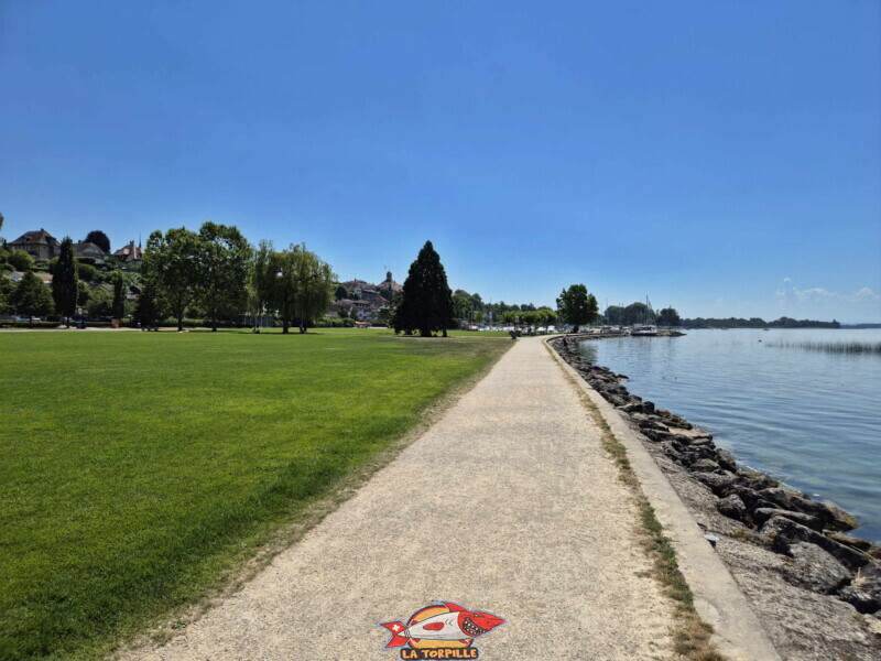 La grande zone de pelouse de la place de loisirs Pantschau. Freizeitwiese Pantschau beim Hafen in Murten