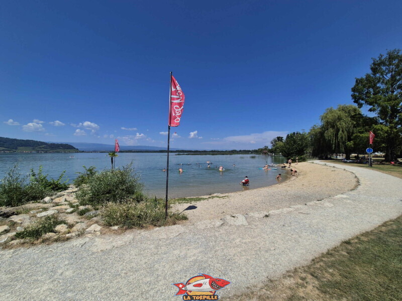 plage de la Bisse Noire. Surfcenter, Morat, lac de Morat. Bise Noire – Surfing Watersports - Shop am Murtensee.