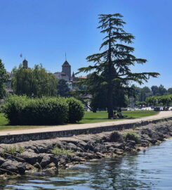 🏖️ Plage de la Place de Loisirs Pantschau – Morat