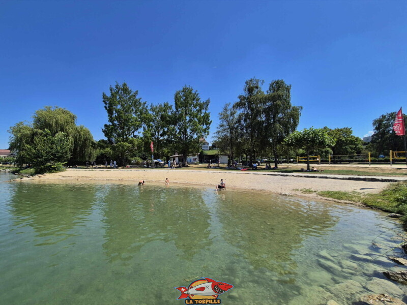 plage de la Bisse Noire. Surfcenter, Morat, lac de Morat. Bise Noire – Surfing Watersports - Shop am Murtensee.