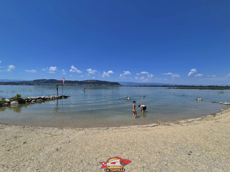 plage de la Bisse Noire. Surfcenter, Morat, lac de Morat. Bise Noire – Surfing Watersports - Shop am Murtensee.