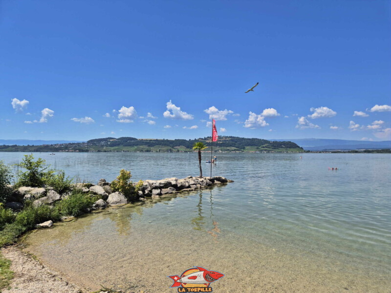 L'accès au lac de Bise Noire avec le Mont Vully en arrière-plan. Bise Noire – Surfing Watersports - Shop am Murtensee.